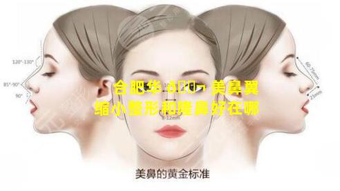 合肥华 🐬 美鼻翼缩小整形和隆鼻好在哪